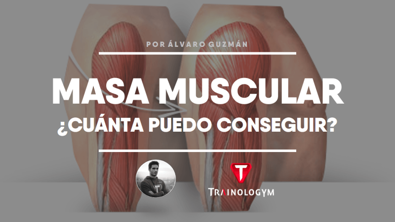 Masa muscular. Calculando los requerimientos y el tiempo necesario