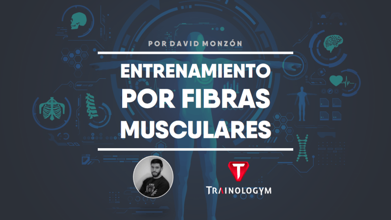 ENTRENAMIENTO POR FIBRAS MUSCULARES