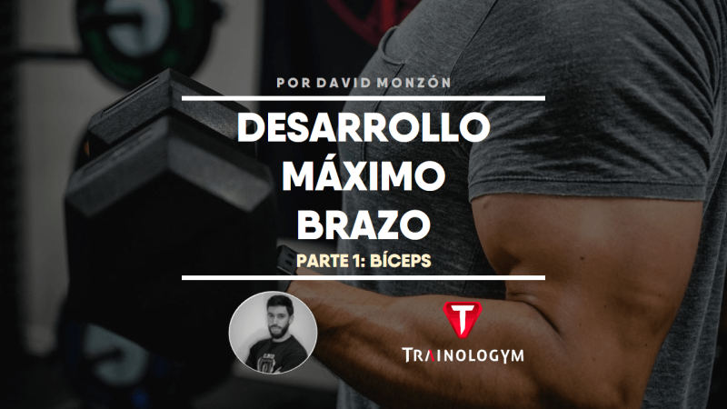DESARROLLO MÁXIMO DE LOS BRAZOS: BÍCEPS