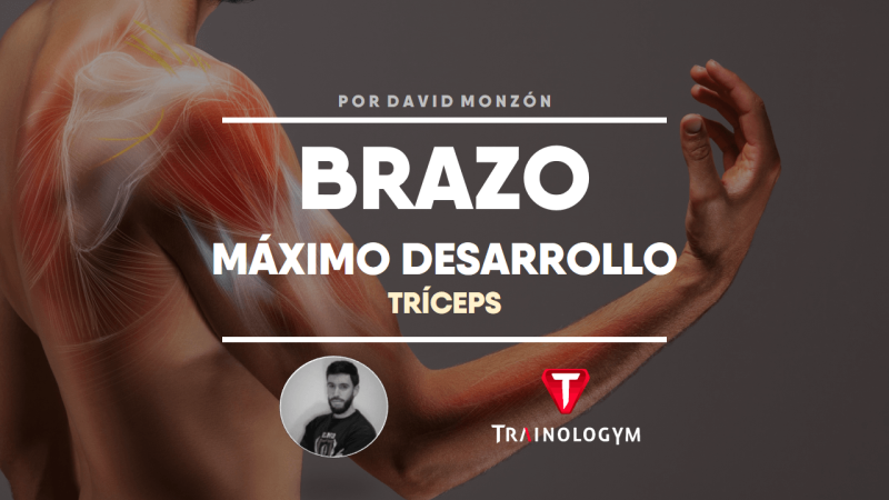 DESARROLLO MÁXIMO DE LOS BRAZOS: TRÍCEPS