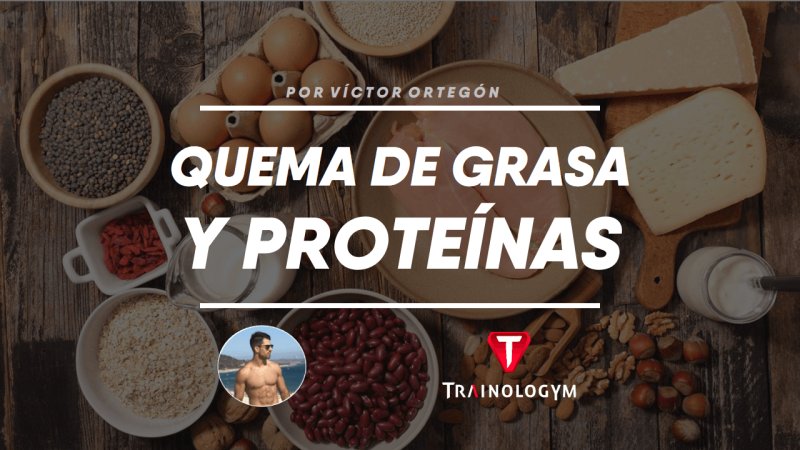DIETA ALTA EN PROTEÍNAS PARA PERDER GRASA.