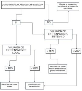 Grupo muscular descompensado y bloque de especialización