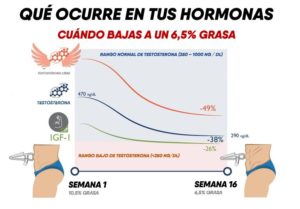 alcohol y aumento de masa 