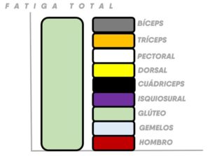 capacidad de carga total y volumen de entrenamiento