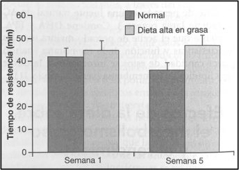 Rendimiento de carrera en ratas con dietas altas en grasa