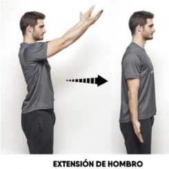 extensión-hombro-ejercicios-dorsal
