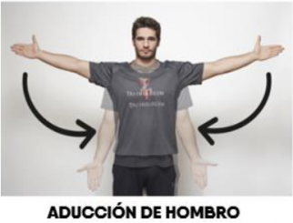 aducción-hombro-ejercicios-dorsal