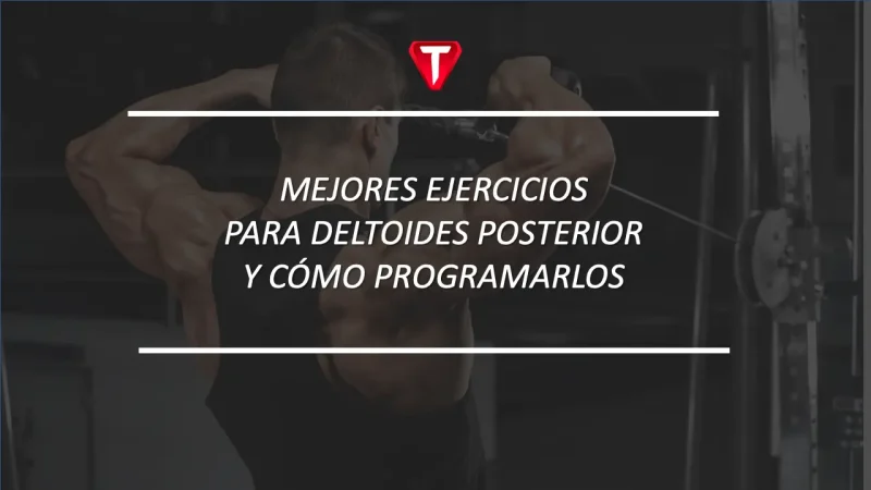 Mejores ejercicios para deltoides posterior y cómo programarlos