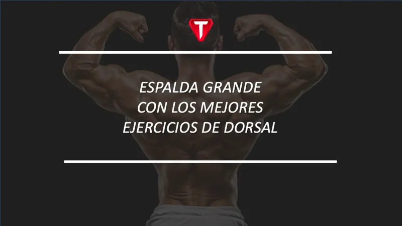 Espalda grande con los mejores ejercicios de dorsal