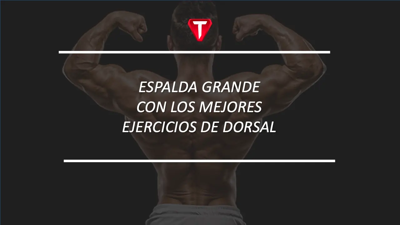 Espalda grande con los mejores ejercicios de dorsal
