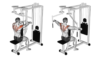 reverse-peck-deck-deltoides-posterior