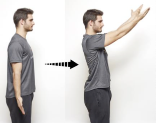 elevación-frontal-flexión-hombros
