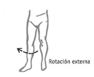 rotación-externa-cadera-glúteo