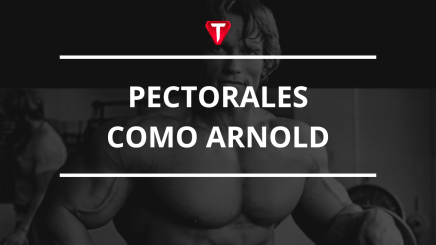 portada-pectorales-como-arnold