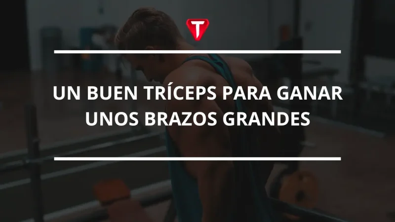 UN BUEN TRÍCEPS PARA BRAZOS GRANDES