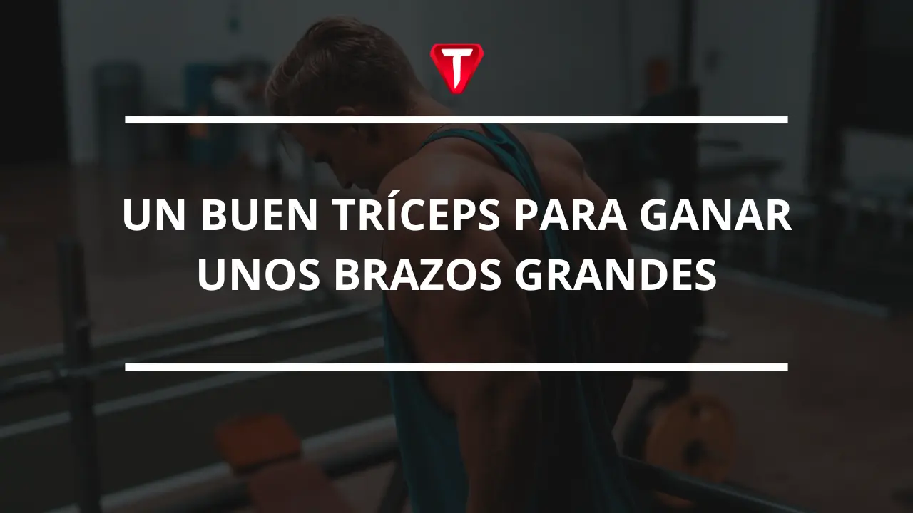 UN BUEN TRÍCEPS PARA BRAZOS GRANDES