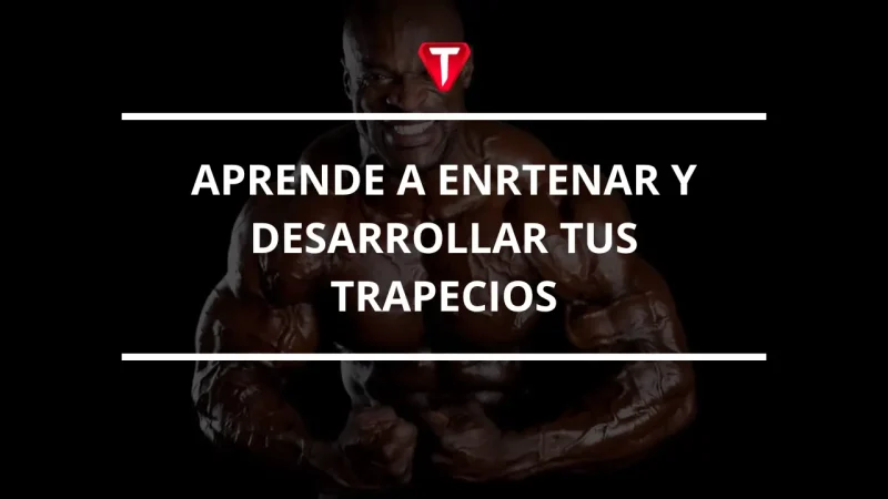TRAPECIOS GRANDES COMO PERCHAS