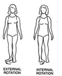 rotación-externa-interna-cadera