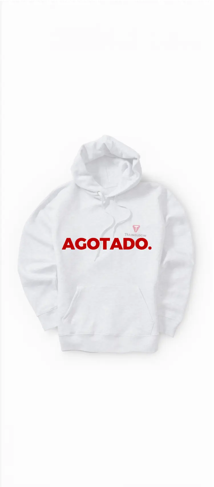Sudadera gris con capucha