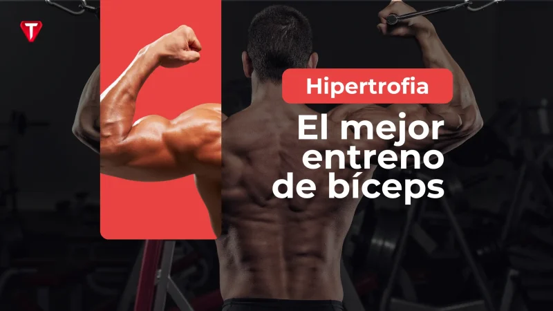 El mejor entrenamiento de bíceps