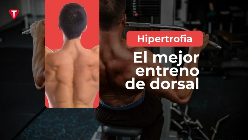 El mejor entrenamiento de dorsal
