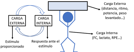 Diagrama explicativo de la relación entre carga externa e interna en el entrenamiento de fuerza
