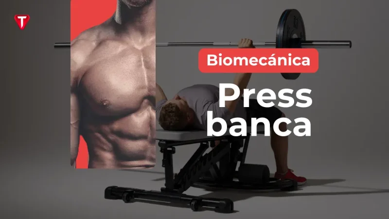 Biomecánica del press banca: todo lo que debes saber