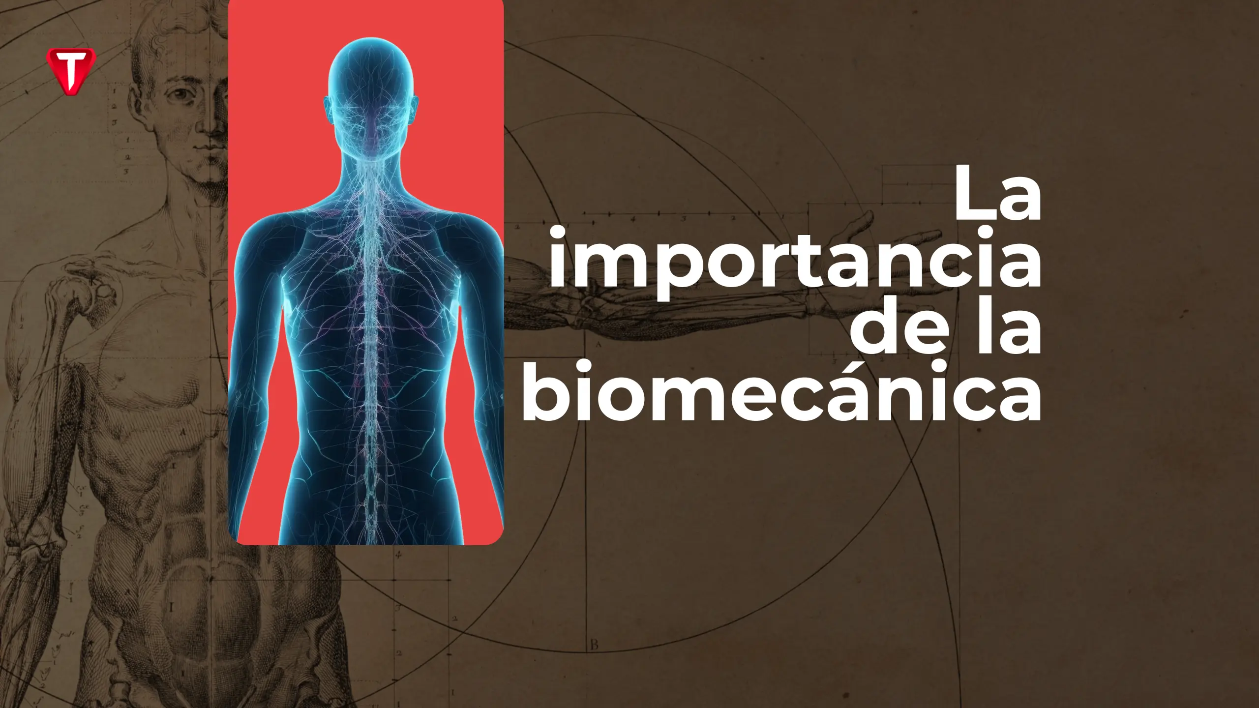 ¿Para Qué Sirve la Biomecánica en el Deporte?