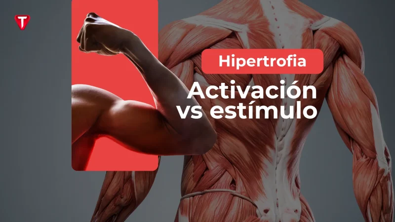 Activación muscular vs estímulo, ¿es lo mismo?