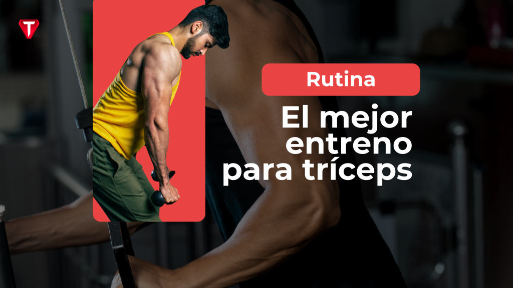 Rutina de entrenamiento de tríceps basada en anatomía y selección inteligente de ejercicios
