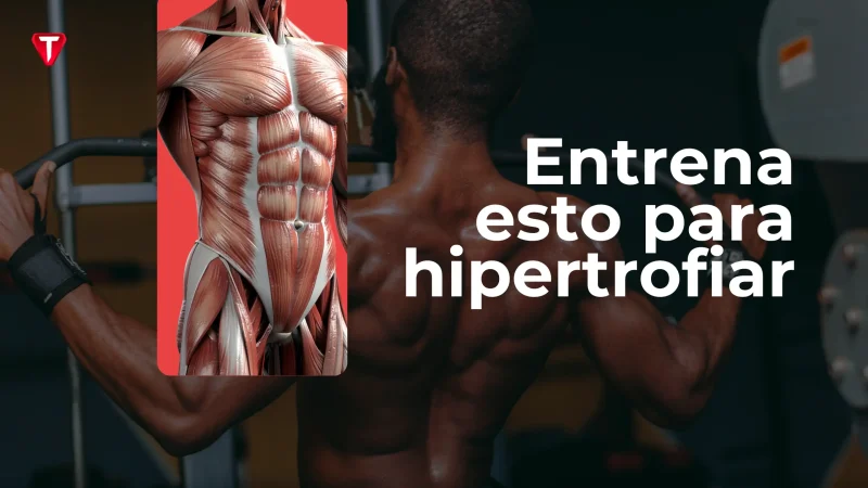 ¿Cómo se debe entrenar para ganar masa muscular?