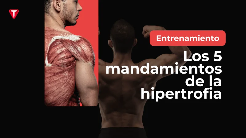 Los 5 Mandamientos De La Hipertrofia