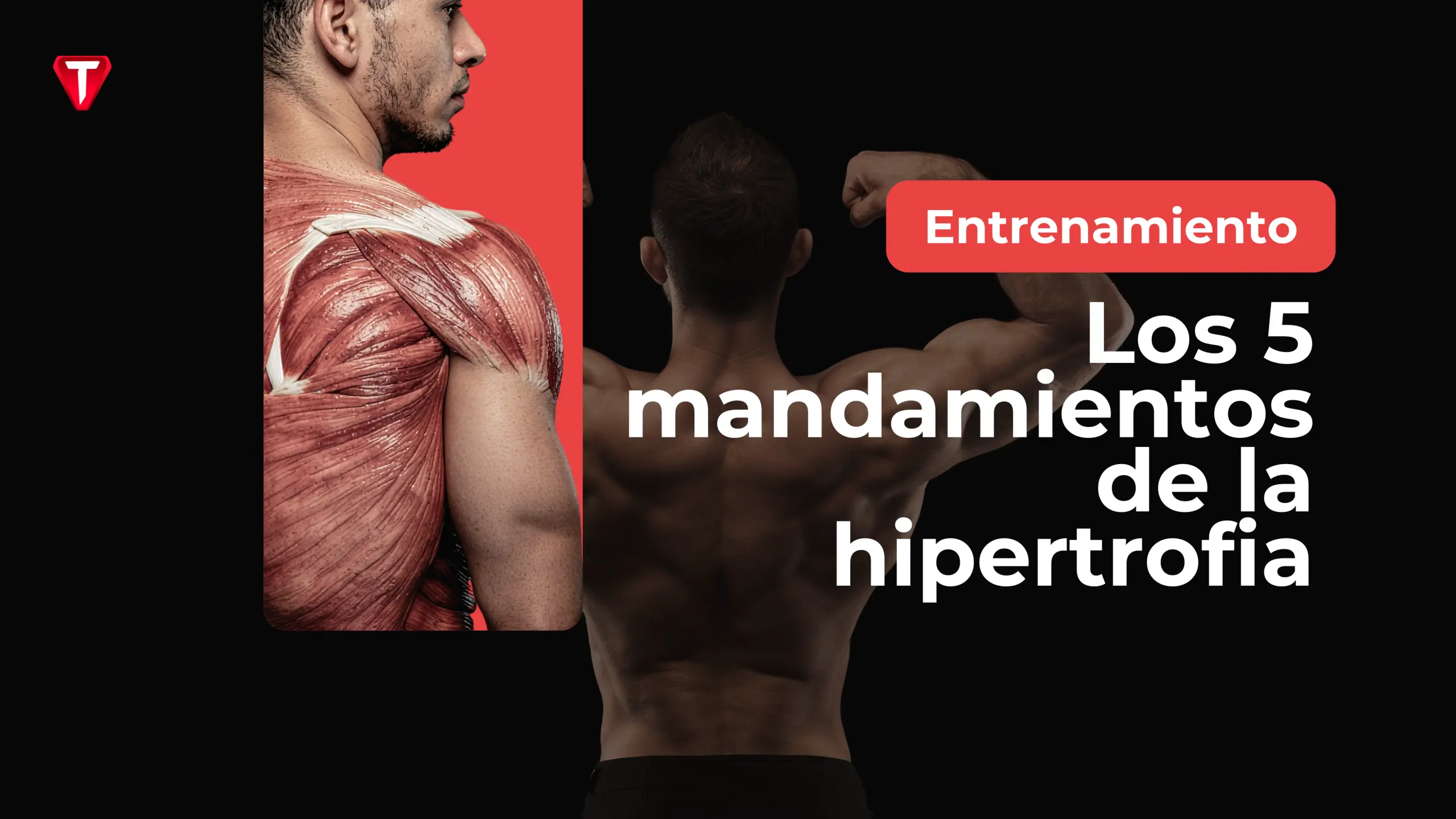 Los 5 Mandamientos De La Hipertrofia