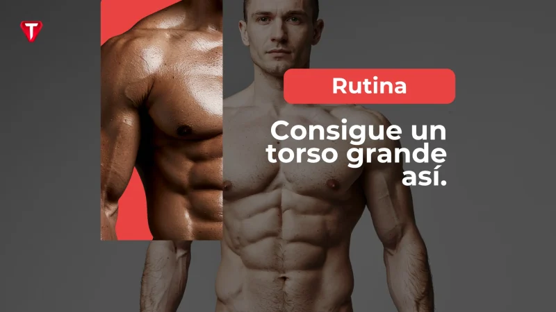 La mejor rutina para un torso grande