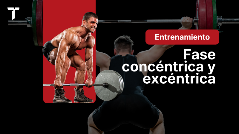 Fase concéntrica y excéntrica: qué son y cómo influyen en el entrenamiento